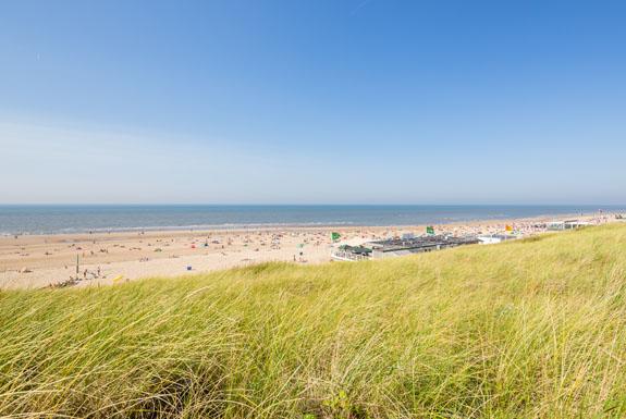 Strand und Dünen | Kustpark Egmond aan Zee